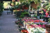 Roger's Gardens in Corona Del Mar
