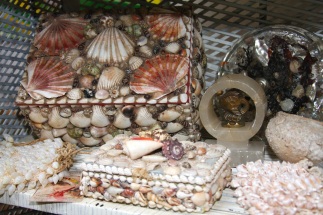 shell box